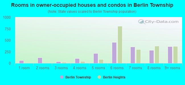 Rooms in owner-occupied houses and condos in Berlin Township