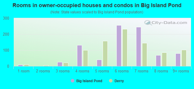 Rooms in owner-occupied houses and condos in Big Island Pond