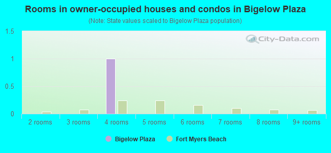 Rooms in owner-occupied houses and condos in Bigelow Plaza