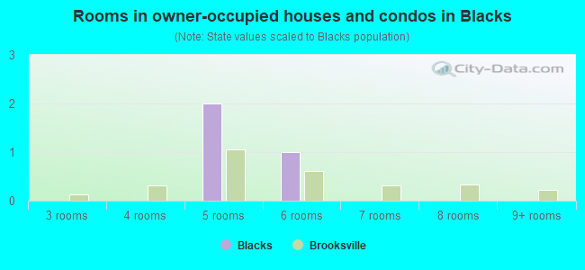 Rooms in owner-occupied houses and condos in Blacks