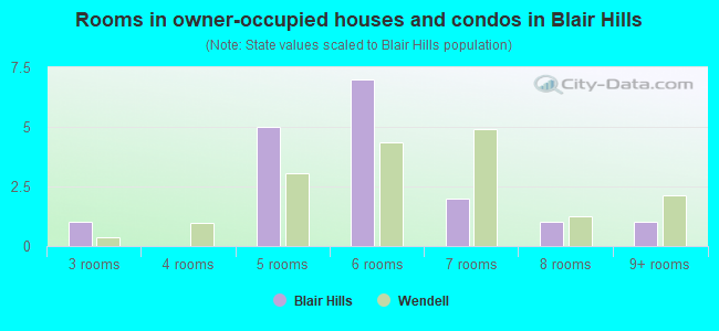 Rooms in owner-occupied houses and condos in Blair Hills