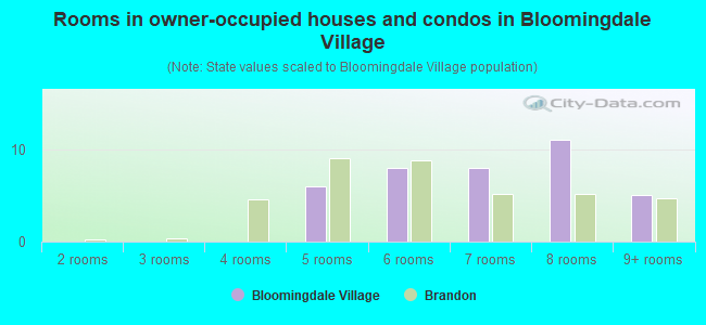Rooms in owner-occupied houses and condos in Bloomingdale Village