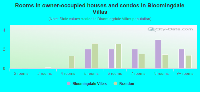 Rooms in owner-occupied houses and condos in Bloomingdale Villas