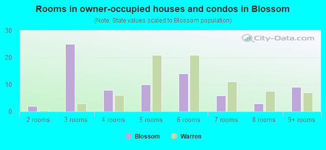 Rooms in owner-occupied houses and condos in Blossom