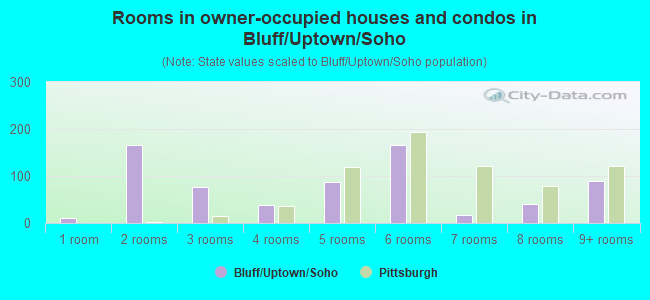 Rooms in owner-occupied houses and condos in Bluff/Uptown/Soho