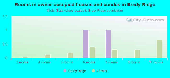 Rooms in owner-occupied houses and condos in Brady Ridge