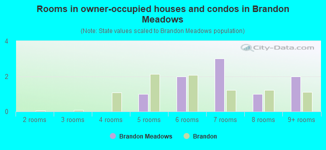 Rooms in owner-occupied houses and condos in Brandon Meadows