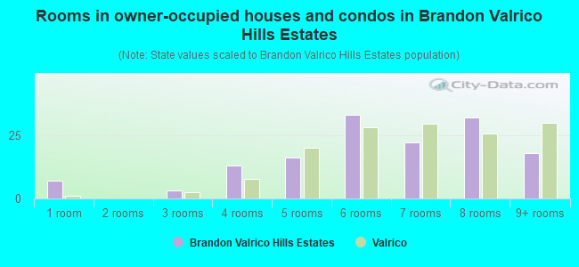 Rooms in owner-occupied houses and condos in Brandon Valrico Hills Estates