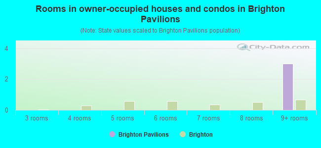 Rooms in owner-occupied houses and condos in Brighton Pavilions