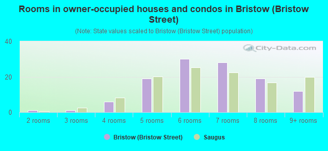 Rooms in owner-occupied houses and condos in Bristow (Bristow Street)