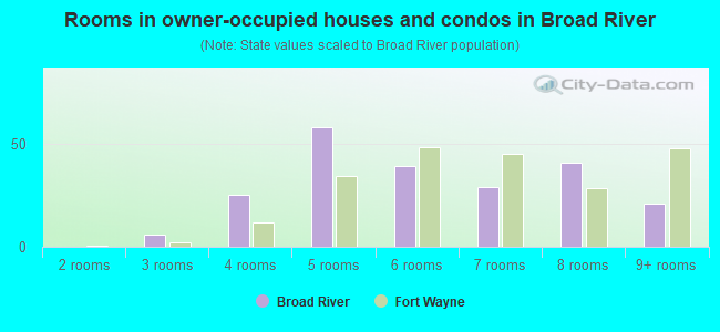 Rooms in owner-occupied houses and condos in Broad River