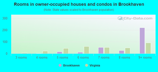 Rooms in owner-occupied houses and condos in Brookhaven