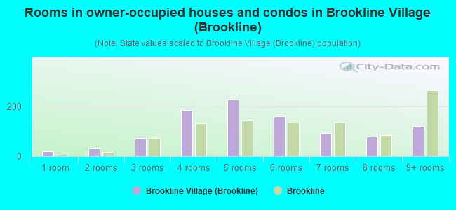 Rooms in owner-occupied houses and condos in Brookline Village (Brookline)