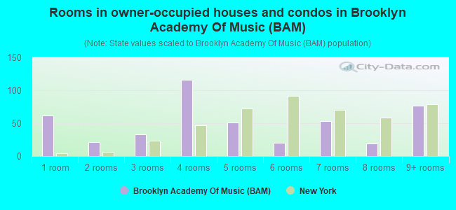 Rooms in owner-occupied houses and condos in Brooklyn Academy Of Music (BAM)