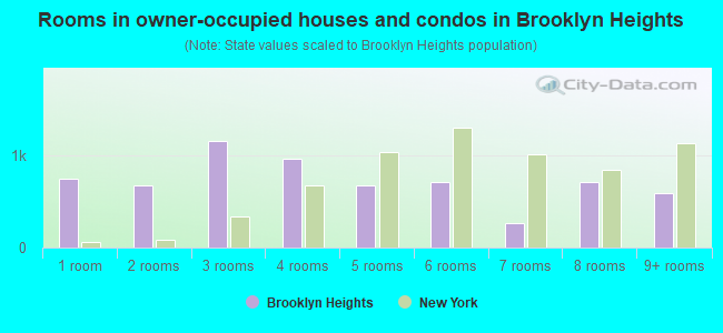 Rooms in owner-occupied houses and condos in Brooklyn Heights