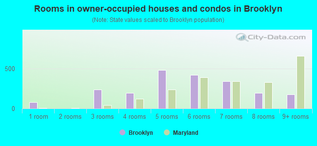 Rooms in owner-occupied houses and condos in Brooklyn