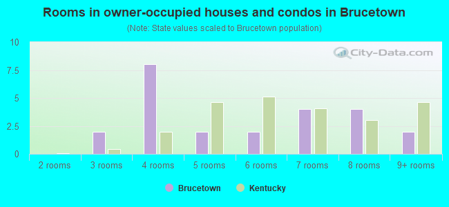 Rooms in owner-occupied houses and condos in Brucetown