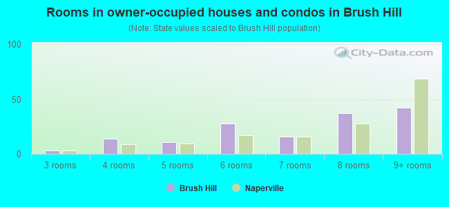 Rooms in owner-occupied houses and condos in Brush Hill
