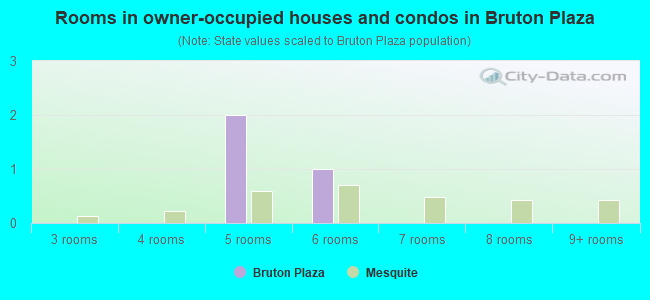 Rooms in owner-occupied houses and condos in Bruton Plaza