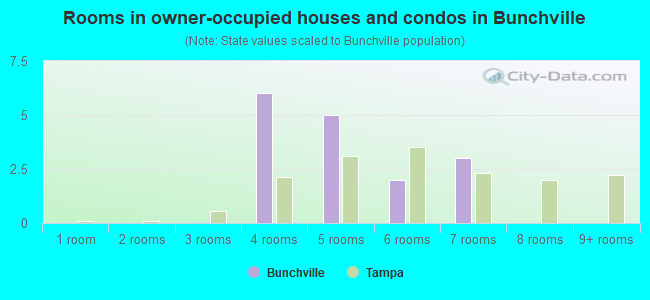 Rooms in owner-occupied houses and condos in Bunchville