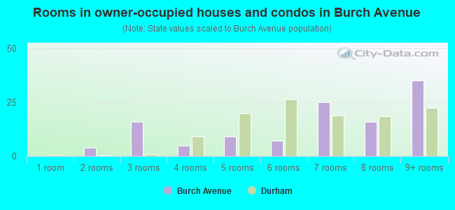 Rooms in owner-occupied houses and condos in Burch Avenue