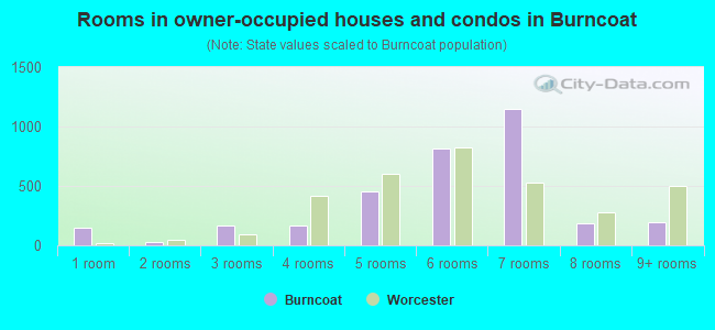 Rooms in owner-occupied houses and condos in Burncoat