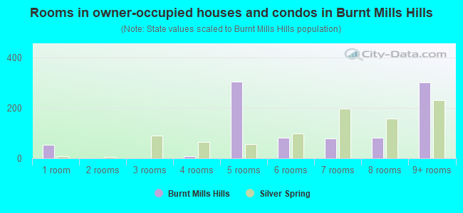 Rooms in owner-occupied houses and condos in Burnt Mills Hills
