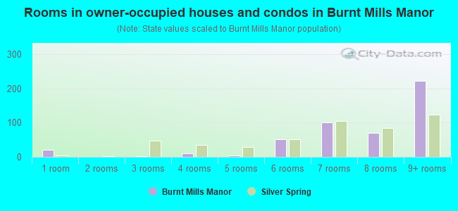 Rooms in owner-occupied houses and condos in Burnt Mills Manor