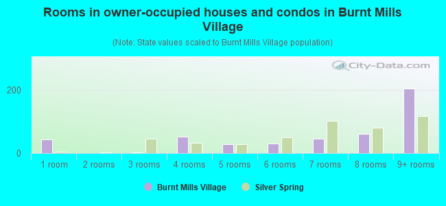 Rooms in owner-occupied houses and condos in Burnt Mills Village