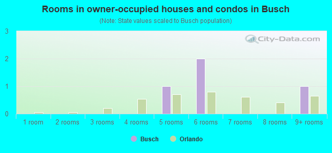Rooms in owner-occupied houses and condos in Busch