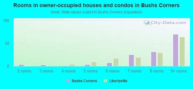 Rooms in owner-occupied houses and condos in Bushs Corners
