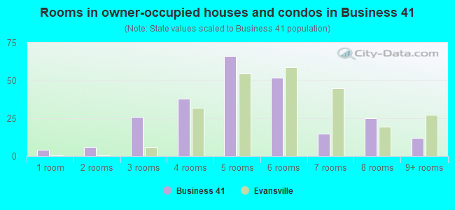 Rooms in owner-occupied houses and condos in Business 41