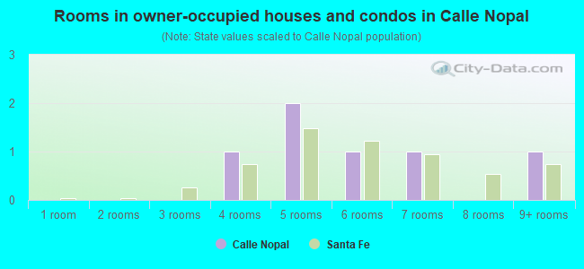 Rooms in owner-occupied houses and condos in Calle Nopal