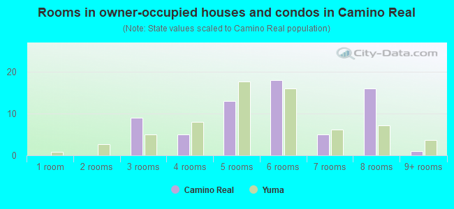 Rooms in owner-occupied houses and condos in Camino Real