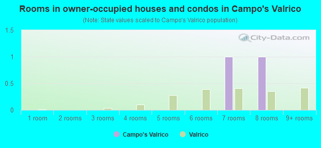 Rooms in owner-occupied houses and condos in Campo's Valrico