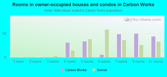 Rooms in owner-occupied houses and condos in Carbon Works