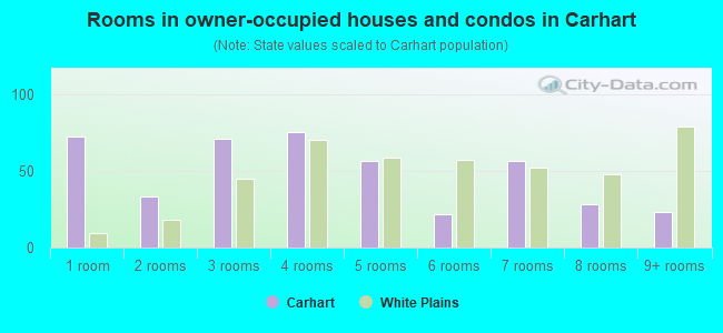 Rooms in owner-occupied houses and condos in Carhart
