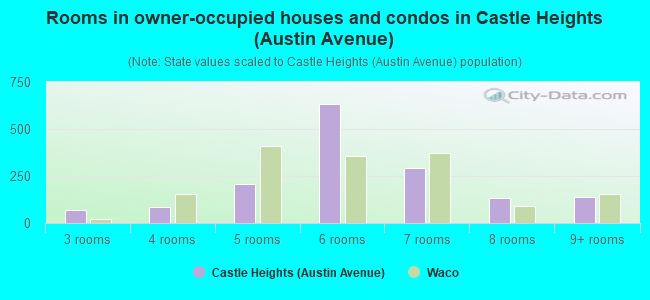 Rooms in owner-occupied houses and condos in Castle Heights (Austin Avenue)