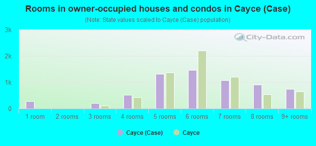 Rooms in owner-occupied houses and condos in Cayce (Case)