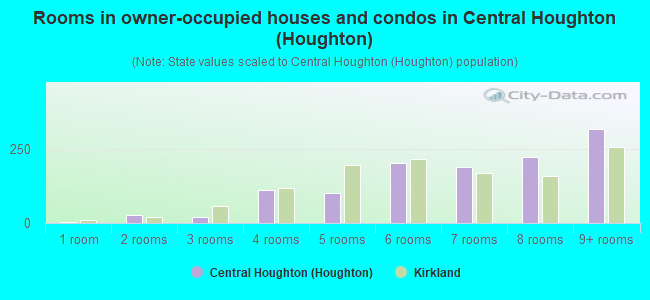 Rooms in owner-occupied houses and condos in Central Houghton (Houghton)