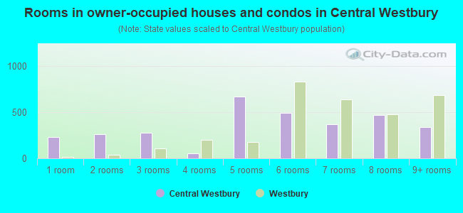 Rooms in owner-occupied houses and condos in Central Westbury