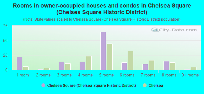 Rooms in owner-occupied houses and condos in Chelsea Square (Chelsea Square Historic District)
