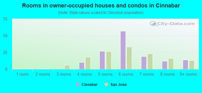 Rooms in owner-occupied houses and condos in Cinnabar