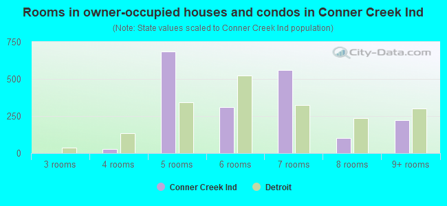 Rooms in owner-occupied houses and condos in Conner Creek Ind