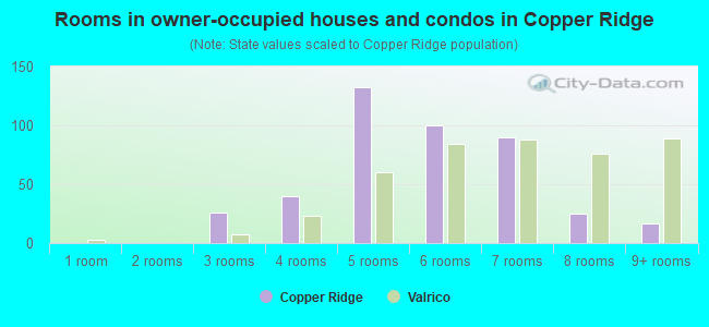Rooms in owner-occupied houses and condos in Copper Ridge
