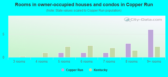 Rooms in owner-occupied houses and condos in Copper Run