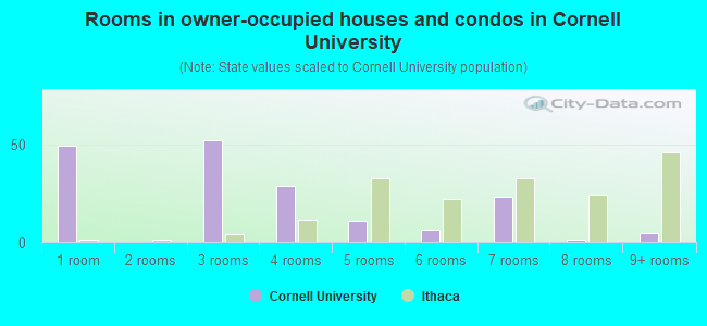 Rooms in owner-occupied houses and condos in Cornell University