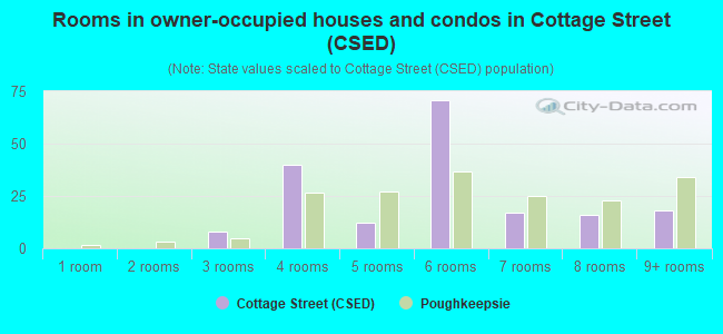 Rooms in owner-occupied houses and condos in Cottage Street (CSED)