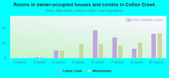Rooms in owner-occupied houses and condos in Cotton Creek