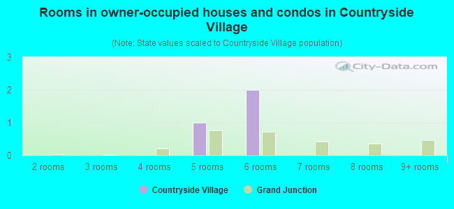 Rooms in owner-occupied houses and condos in Countryside Village